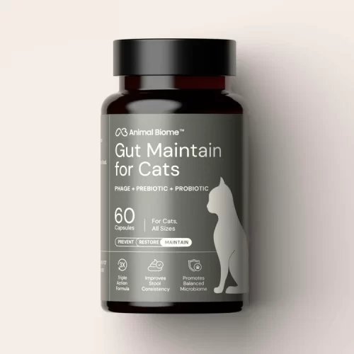 AnimalBiome Gut Maintain for Cats 60 capsules