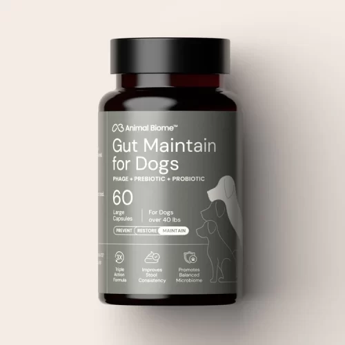 AnimalBiome Gut Maintain for Dogs >40lbs 60 capsules